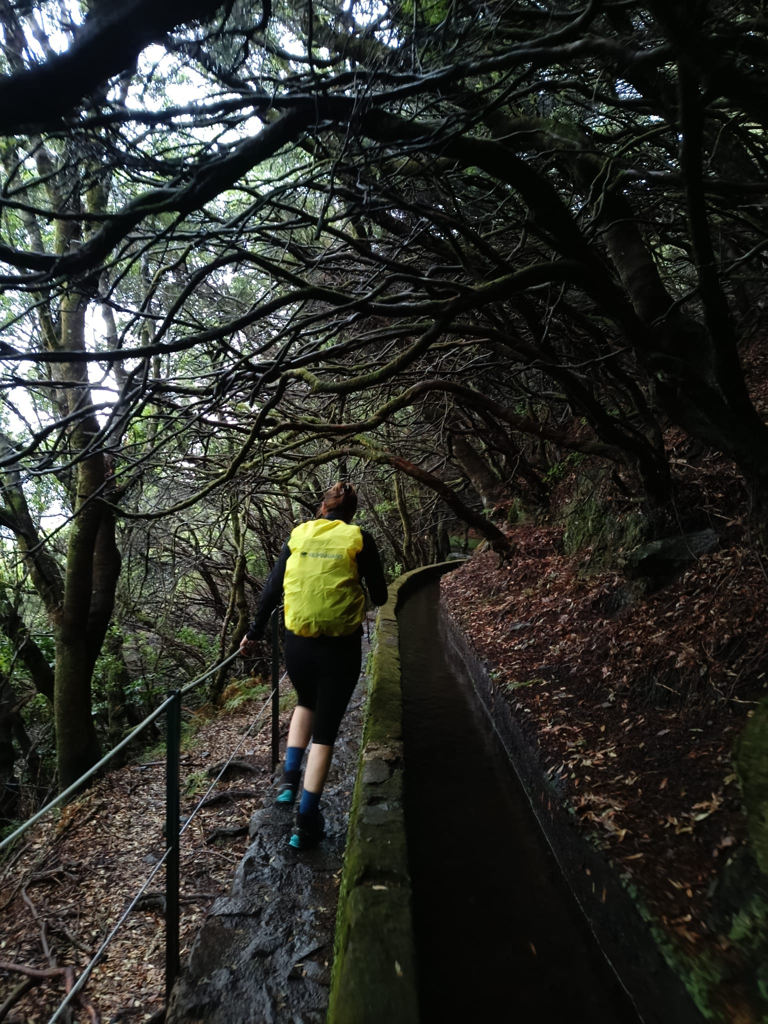 Madeira Treking